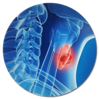 Endocrinology-min-min